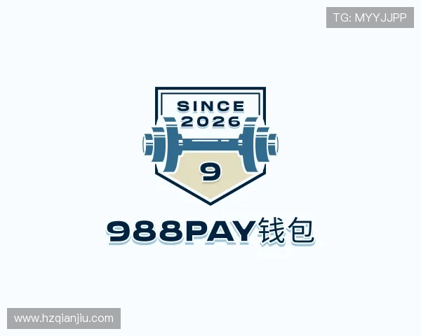 关于988PAY钱包